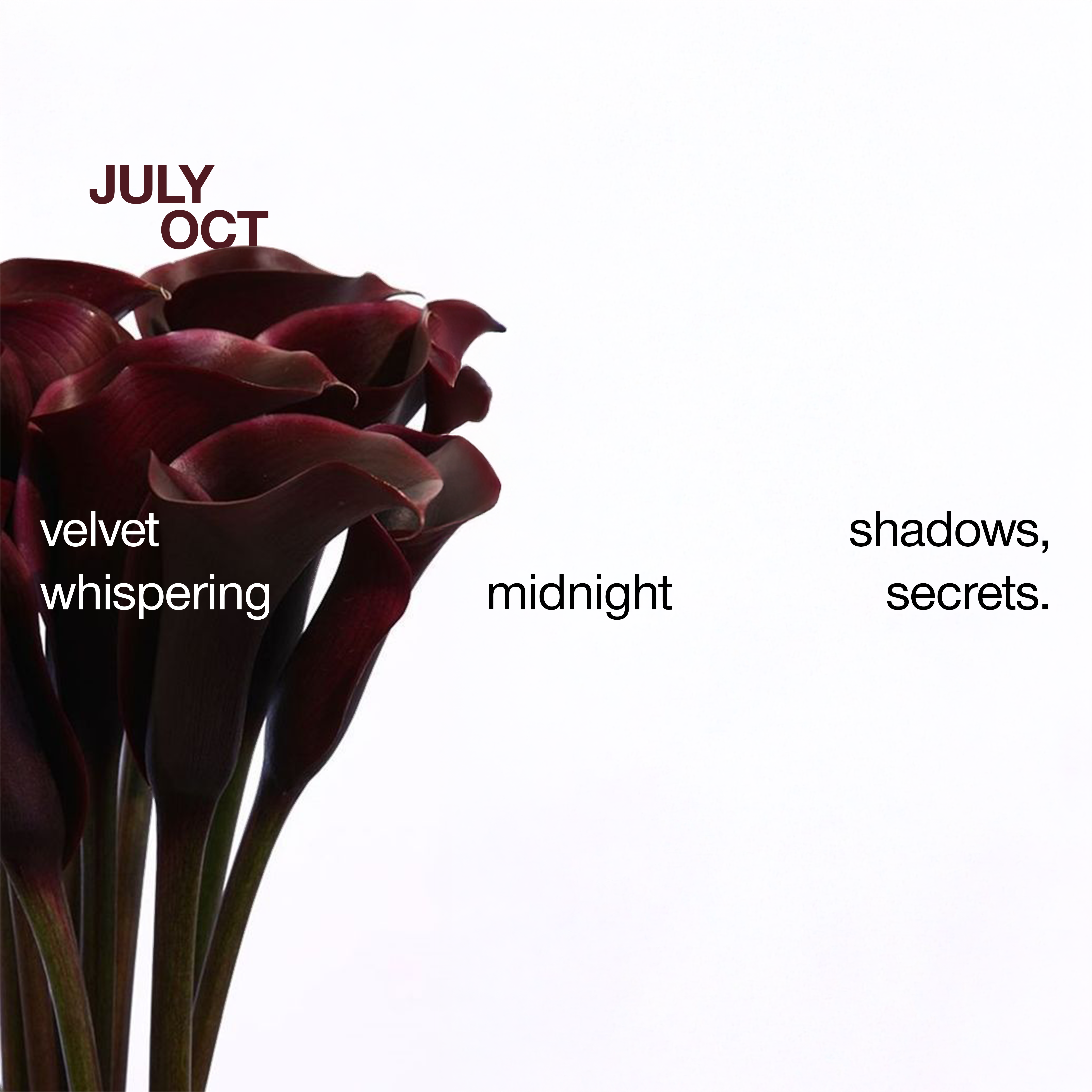 velvet shadows